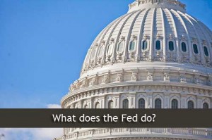 What does the Fed do?
